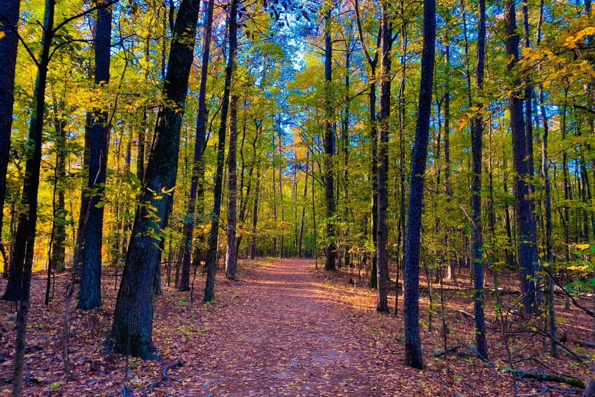 a photo of marietta kennesaw mountain trail